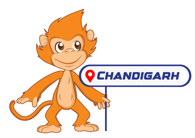 SkyJumper Trampoline Park, Chandigarh - ChiChi