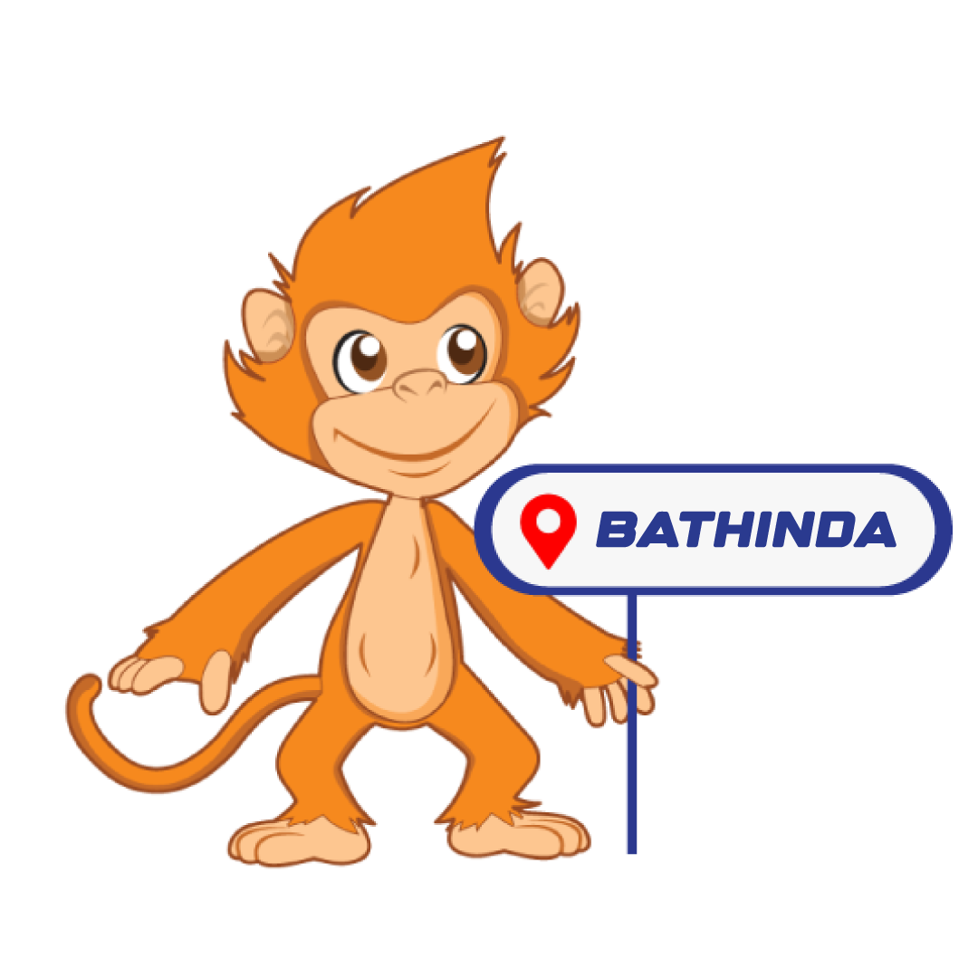 SkyJumper Trampoline Park, Bathinda - ChiChi